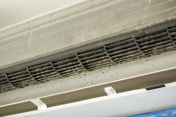 Best Best Air Duct Cleaning Company  in Rochester, IL